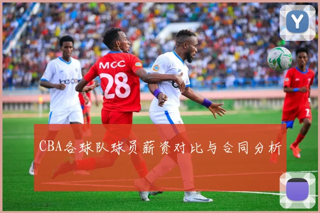 CBA各球队球员薪资对比与合同分析