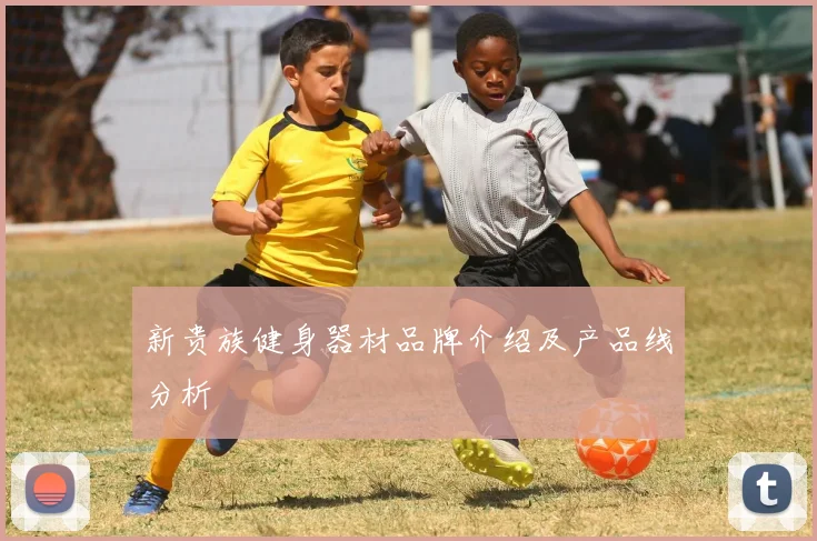 新贵族健身器材品牌介绍及产品线分析