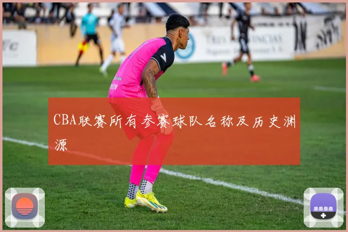 CBA联赛所有参赛球队名称及历史渊源