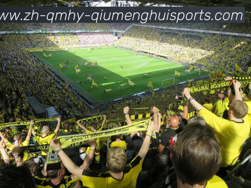 球盟会平台生态图